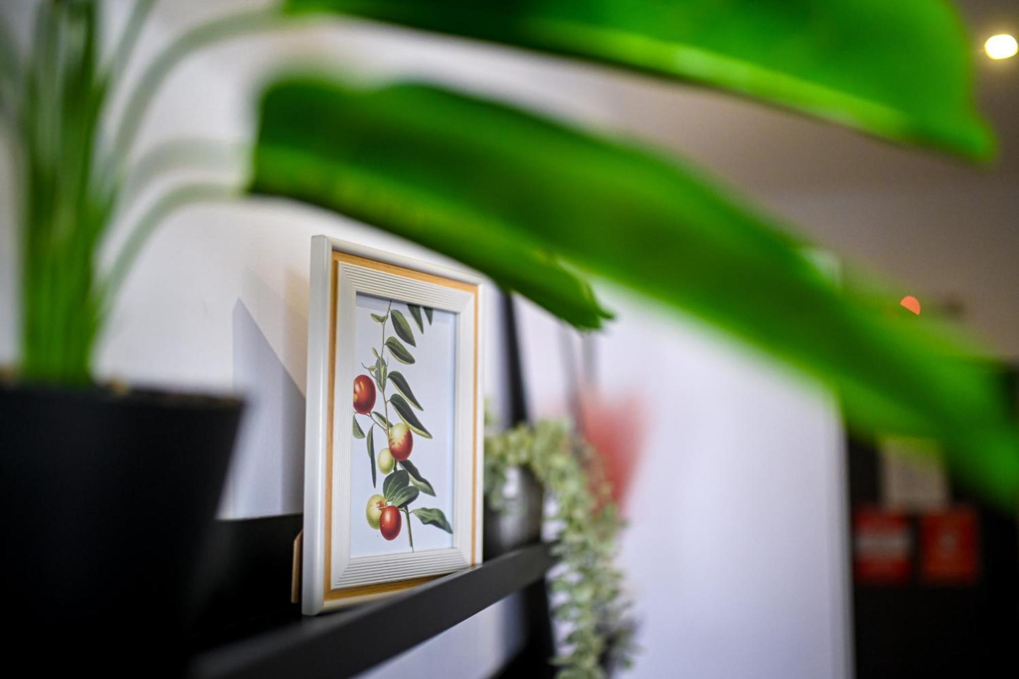 Urban Elegance - Stylish Central Accommodation Bukurešť Pokoj fotografie